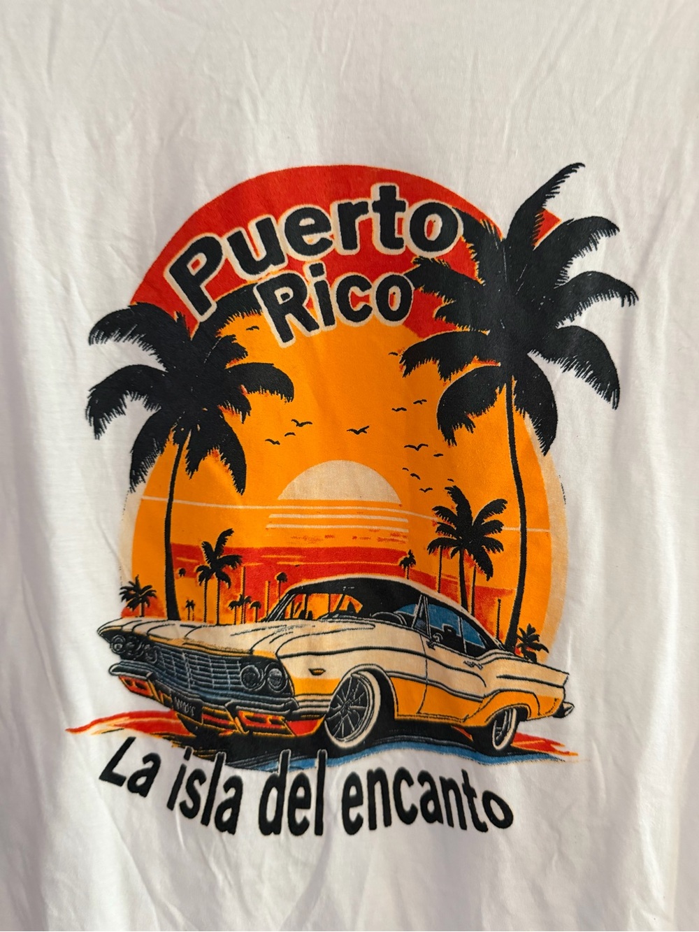 Goodfellow & Co Puerto Rico Graphic Tee - White with Orange and Black Print